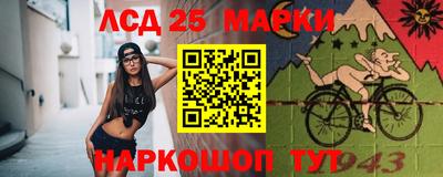 СК Можга