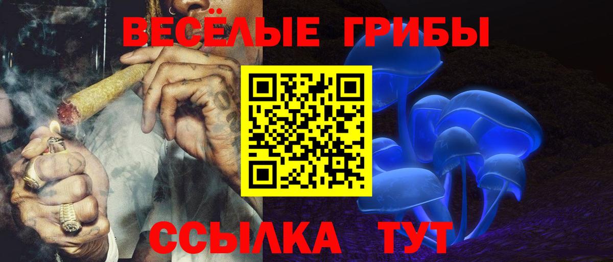 где купить наркоту  Вход с VPN  Алушта  Псилоцибиновые грибы Cubensis 