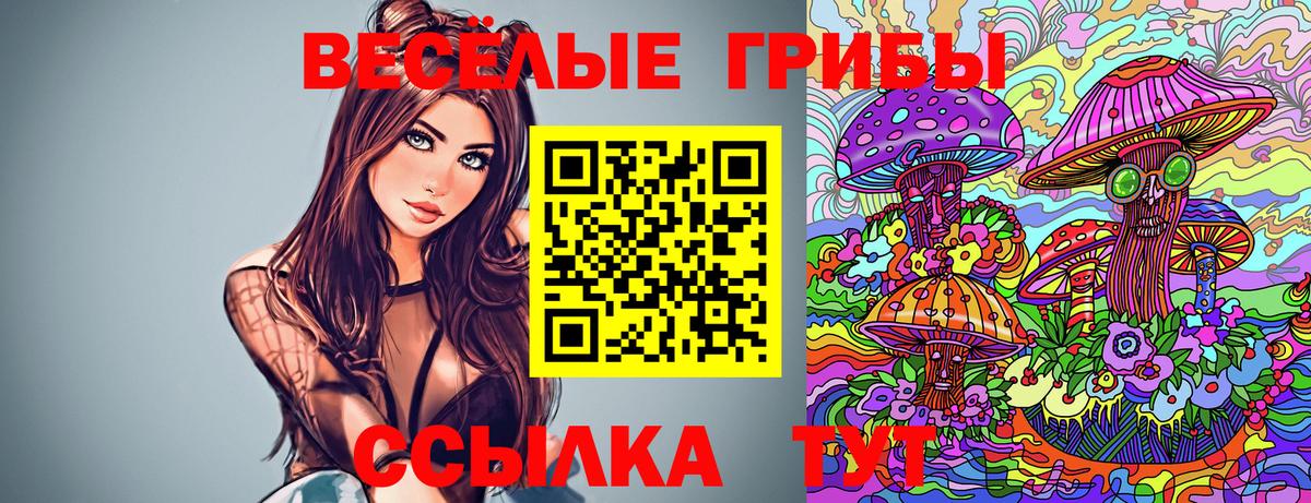 Псилоцибиновые грибы Cubensis Алушта